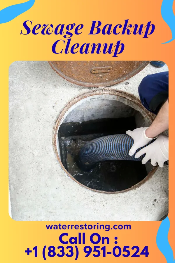 Sewage Backup Cleanup in Levasy, MO