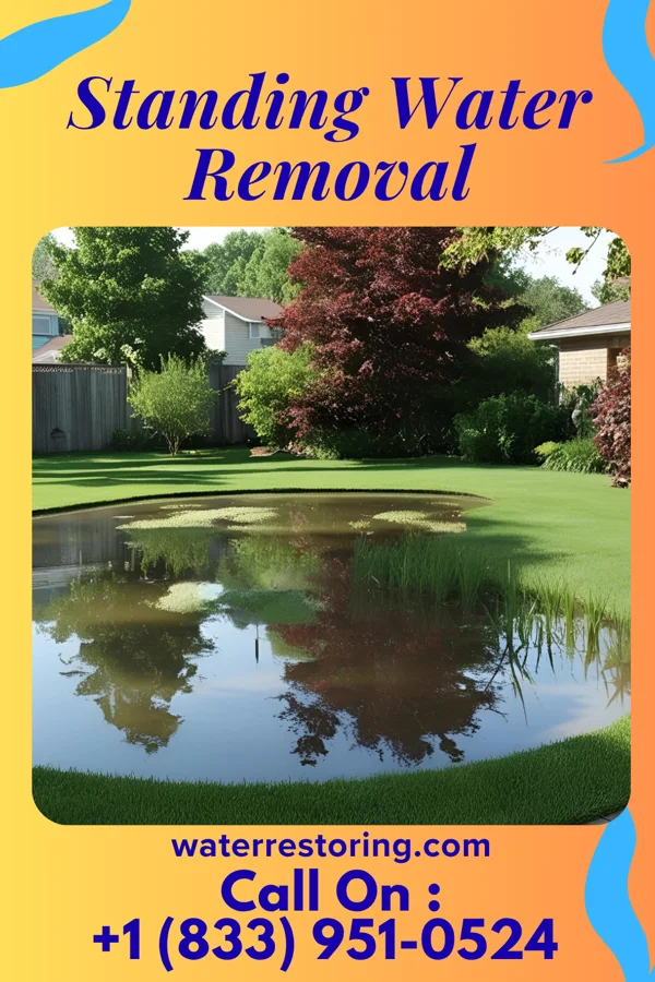 Standing Water Removal in Levasy, MO